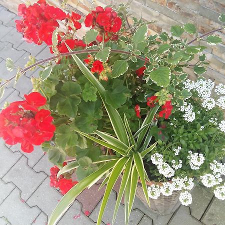 Domek 87 Krynica Zdroj Dış mekan fotoğraf