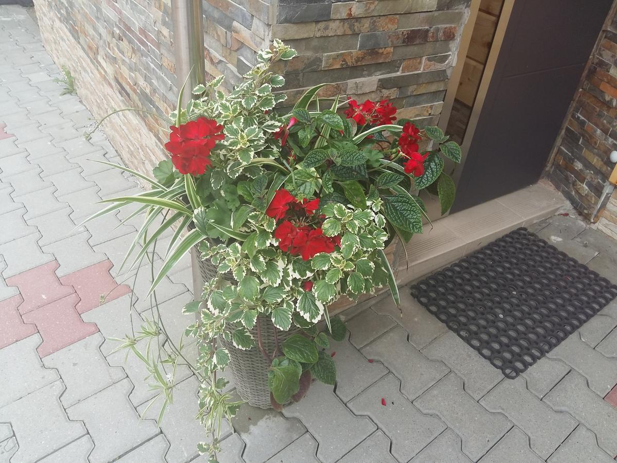 Domek 87 Krynica Zdroj Dış mekan fotoğraf