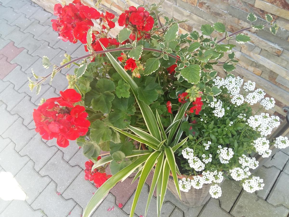 Domek 87 Krynica Zdroj Dış mekan fotoğraf